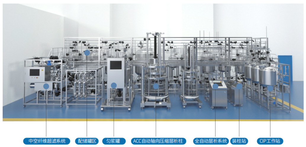 Downstream Purification Process