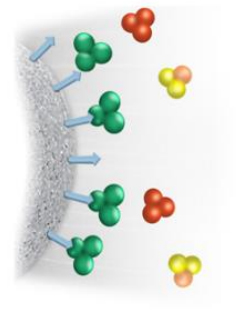 Purification In Downstream Processing