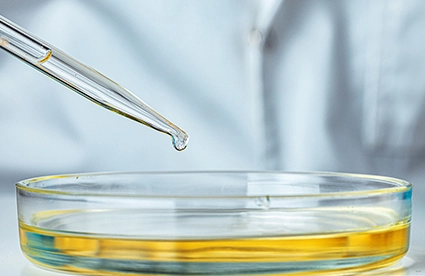 Explore The Potential Of Artificial Dna Synthesis For The Development Of New Therapeutic Proteins