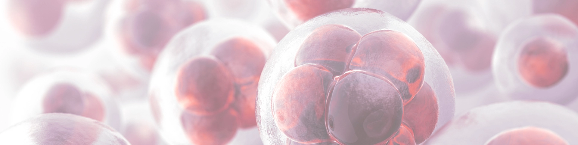 Oligonucleotide Synthesis & Purification