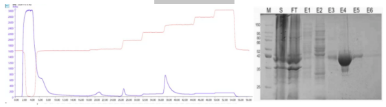 83fbbc8b4feb0c4f4437e2a7bd8f3a4.png 83fbbc8b4feb0c4f4437e2a7bd8f3a4.png